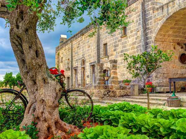 Apulia_General_Masseria_View_Culture