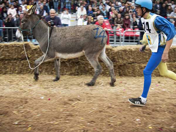 Piedmont_Alba_Dokey_Palio_Folklore