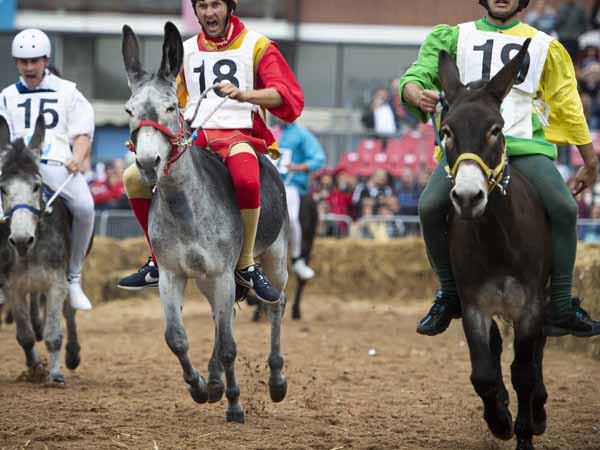 Piedmont_Alba_Dokey_Palio_Folklore